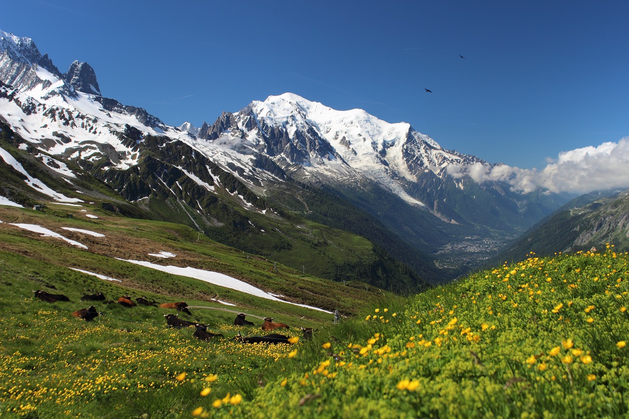 mont blanc, white mont tour, the alps-1527997.jpg